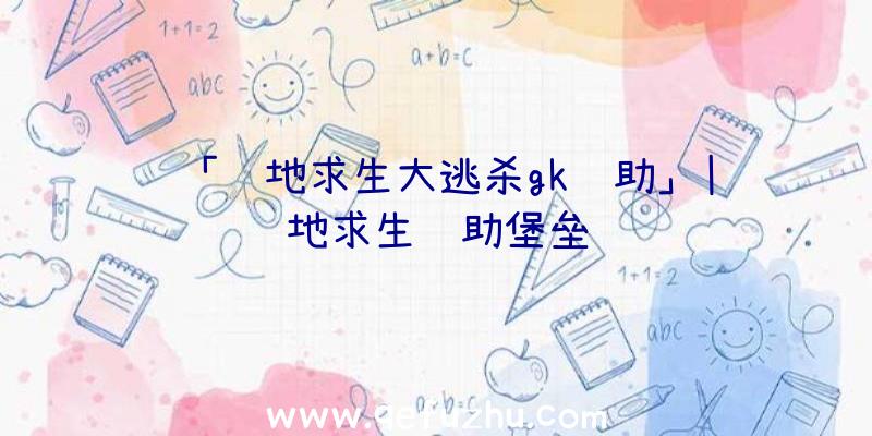 「绝地求生大逃杀gk辅助」|绝地求生辅助堡垒